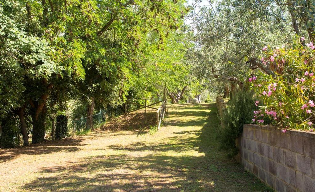 Divacamp Glamping Resort كامبيليا ماريتيما المظهر الخارجي الصورة